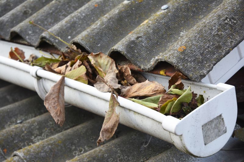 Commercial Gutter Unclogging in Denver, CO